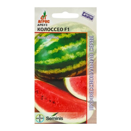 Seeds of Arbus "Colosso" F1 5pcs* Seminis