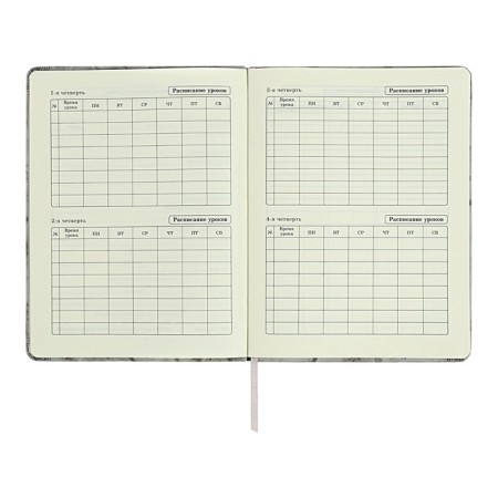 Diary 1-11 grade "Gray marble", artificial leather, a solid cover with embossing, with liesa, 48 sheets-5