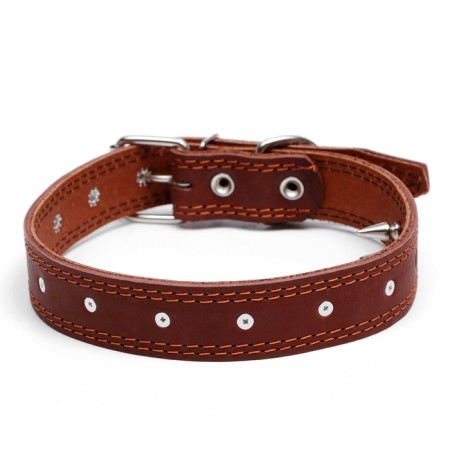 Leather collar "strict spike", 70 x 3.5 cm, Osh 45-60 cm, brown-1