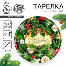 Disposable paper plate 