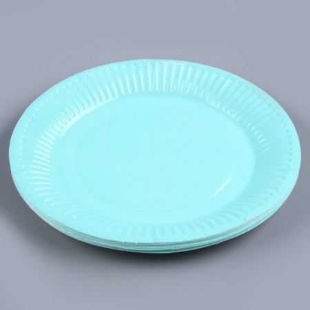 Disposable dishes: paper plate "mint", plain, 18 cm-3