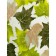 Texrepublic blanket, size 200x220 cm, green color