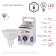 LED LED era Standard "Sofit", 6 W, GU5.3, 480 lm, 6000K, glow cold white
