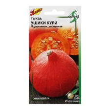 Seeds of pumpkin bruises chicken 5 pcs.
