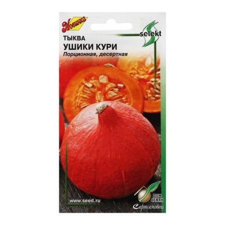 Seeds of pumpkin bruises chicken 5 pcs.