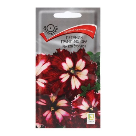 Grandifloor flowers "Kan Kan Burgundy" 10 pcs