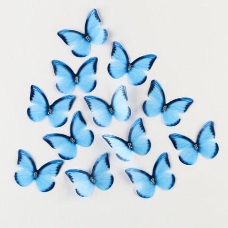 Decor for creativity "Butterfly", two -layer, set of 12 pcs., Size 1 pc. - 5 × 4 cm, blue color-1