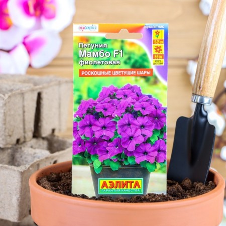 Petunia seeds "Mambo" F1 Violet Tangle, 7 pcs