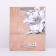 Crafts "Ice Floristics" 26 x 32 x 12 cm