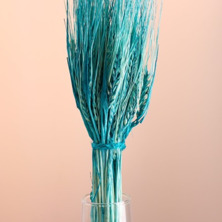 A set of dried flowers "rye", a ban 35-40 pcs, length 55-65 (+/- 6 cm), turquoise-1
