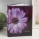 Photo album for 200 photos 10x15 cm "Flower collection" mix
