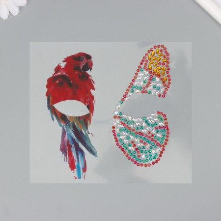 Stick plastic rhinestones "Wing butterfly and parrot" 16x17 cm-1