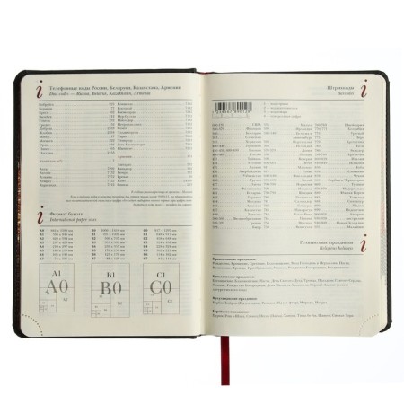 Leduced A5 Diary, 136 Velvet Index sheets, hard cover, artificial leather, Soft Touch lamination, lies, tinted block 70 g/m2, gray-6