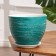 Flower Green Techno Green 3.6 liter
