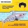 Akula radio -controlled "white", swims, works from batteries
