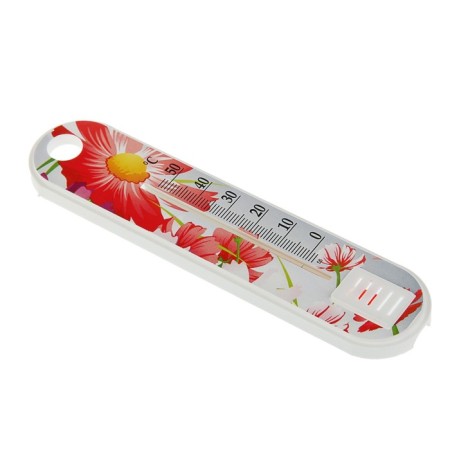 The thermometer is the room P-1 "Flower" (t 0 + 50 s) in the bag-5
