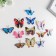 Magnet Plastic "Butterfly Blostka" set 12 pcs mix