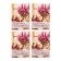 Set of nameplate "Wishes for every day" 5 types, 20 pieces, 5.5 x 8 cm