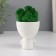 Kashpo concrete mini "Mr. Green in anticipation" with moss white 5.5x7x7 cm (moss green stabiliz)