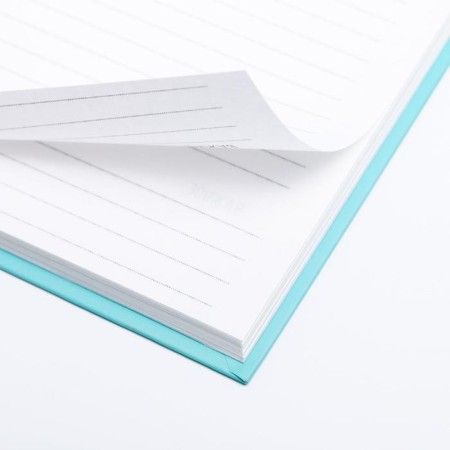 Diary "Koala" A5, 80 sheets-3
