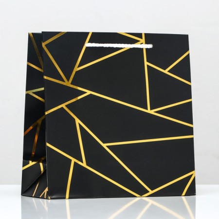 Package Gift craft "Golden Lines", foil, 22.5 x 23 x 10 cm, set 12 pcs.