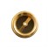 Valve Reverse STI, 2 "