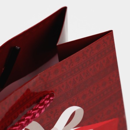 Laminated vertical package “For you”, S 12 x 15 x 5.5 cm, New Year-5
