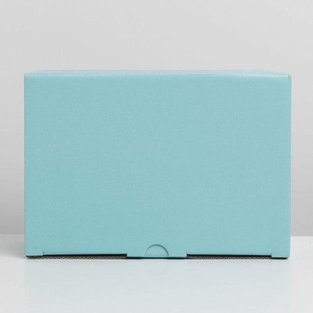 Gift folding box, packaging, Tiffany, 22 x 15 x 10 cm-5