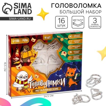 Metal puzzles 16 pcs "Wizard"