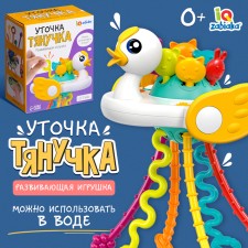 Developing toy 