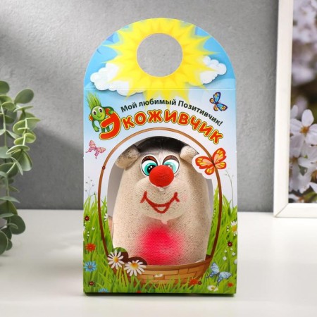 Growing gift Eco -Zhizhivchik "Hedgehog" Mix-12
