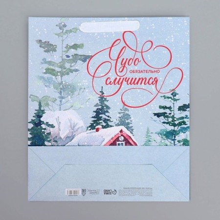 Package Craft vertical "Miracles happen", M 26 x 9 cm 9 cm, new year-8