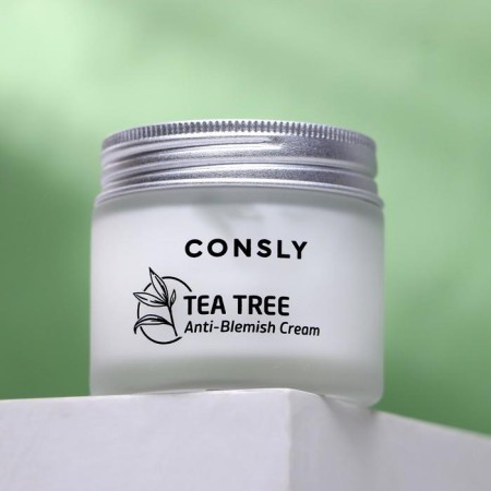 Cream for problem skin with tea tree extract, 70ml, Consly-1