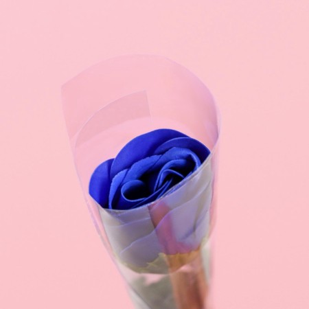 Soap rose, blue-4