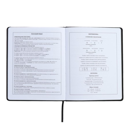 Universal Grade 1-11 Diary, 48 sheets "Girl 2", solid cover of artificial leather, lies, universal cheat sheet, block 80 g/m2-9