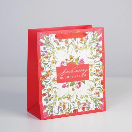 Package Gift Laminated Horizontal, Packaging, “Beloved Educator”, ML 27 x 23 x 11.5 cm-1