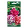 Flowers of petunias Taurus "Piruett", mix, 10pcs.