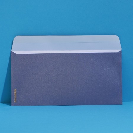Gift envelope "Best wishes", embossing, designer paper, 22 × 11 cm 746116-2