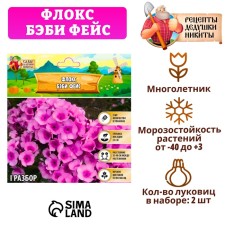 Флокс "Бэби Фейс" р-р I, 2 шт,