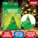 New Year's set for creativity. Growing crystals “New Year! Christmas tree ", green color