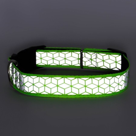 Collar with reflective ornament, 55 x 2.5 cm, light green-8
