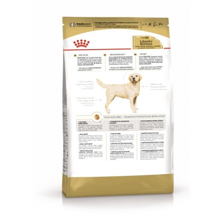 Dry food RC Labrador Adult for Labrador, 3 kg-1