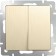 Two-clavy switch WL10-SW-2G, champagne color