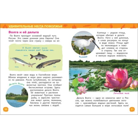 Encyclopedia for kindergarten "Miracles of Russia"-2