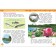 Encyclopedia for kindergarten "Miracles of Russia"