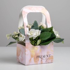 Box-Obel for Flowers 
