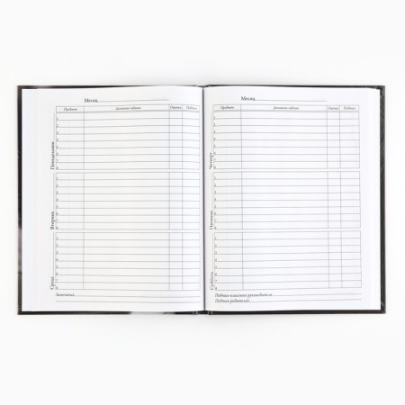 School diary 5-11 grade, in a solid cover, 48 liters. "Cat"-3