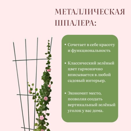 Trellis, 180 × 61 × 1 cm, metal, green-2