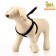 COMPORTS COMPORT COMBODY, 1.5 cm, Osh 36-50 cm, og 40-56 cm, black