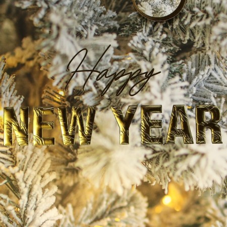 Laminated vertical package, congregation embossing "Happy New Year", Ml 23 x 27 x 11.5 cm, New Year-4